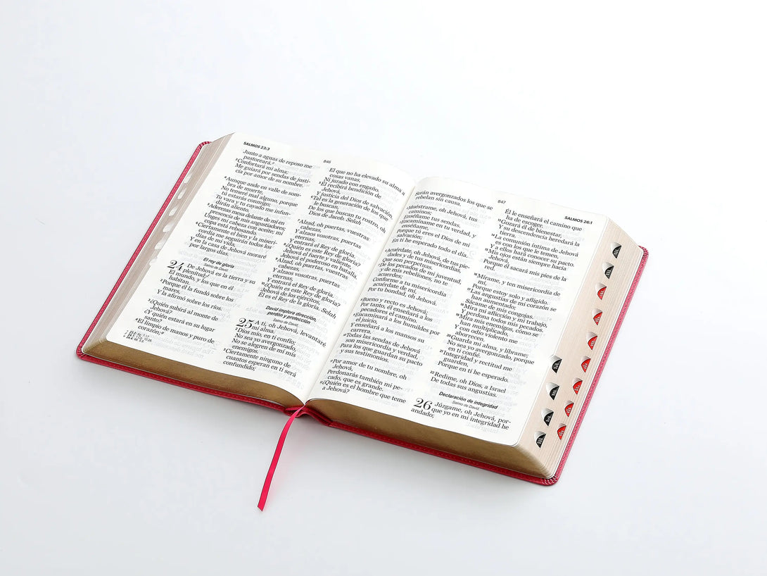 RVR60 095cti LSPG PJR clásica fucsia - Biblias