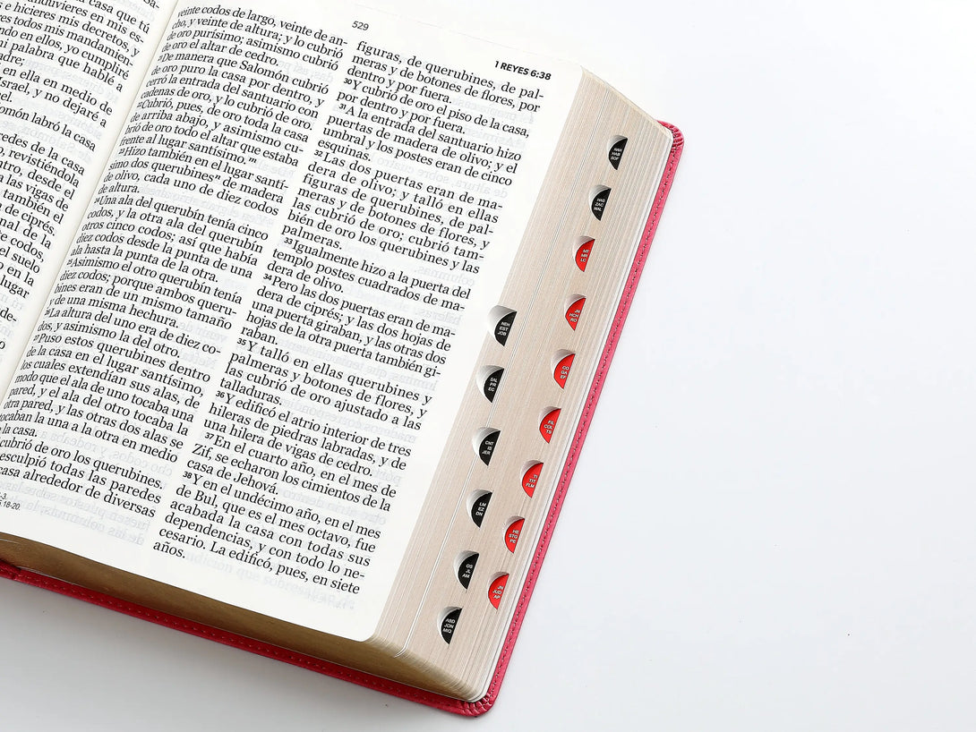 RVR60 095cti LSPG PJR clásica fucsia - Biblias