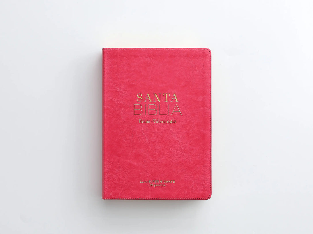 RVR60 095cti LSPG PJR clásica fucsia - Biblias