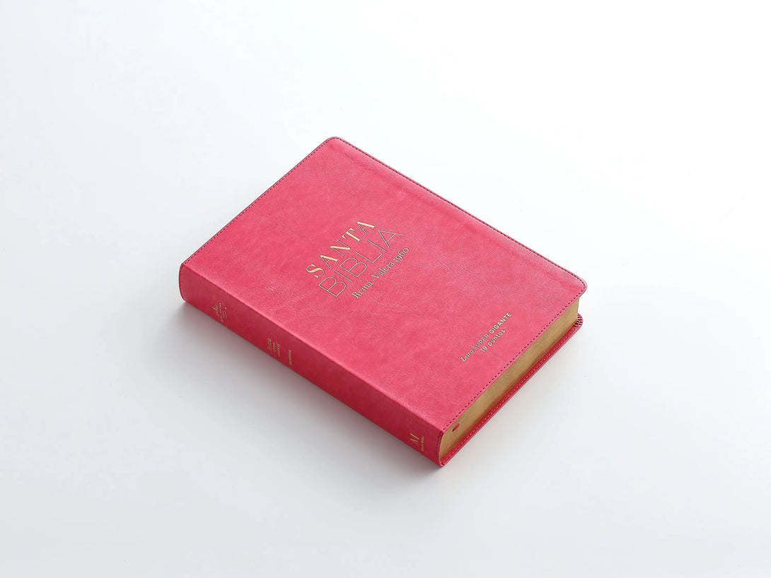 RVR60 095cti LSPG PJR clásica fucsia - Biblias