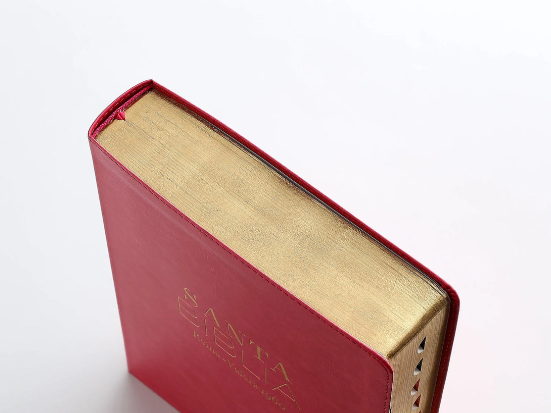 RVR60 095cti LSPG PJR clásica fucsia - Biblias