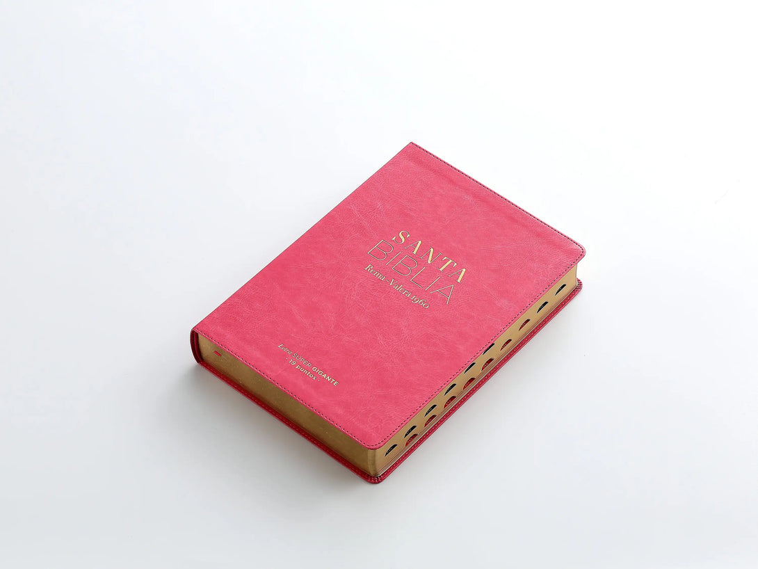 RVR60 095cti LSPG PJR clásica fucsia - Biblias