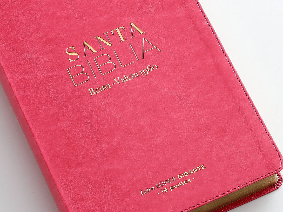 RVR60 095cti LSPG PJR clásica fucsia - Biblias