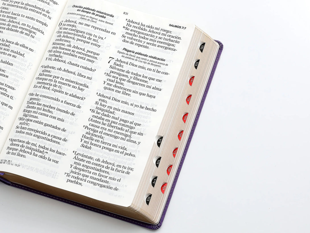RVR60 095cti LSPG PJR clásica lila - Biblias