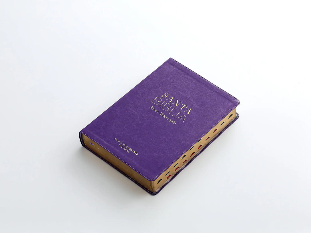 RVR60 095cti LSPG PJR clásica lila - Biblias