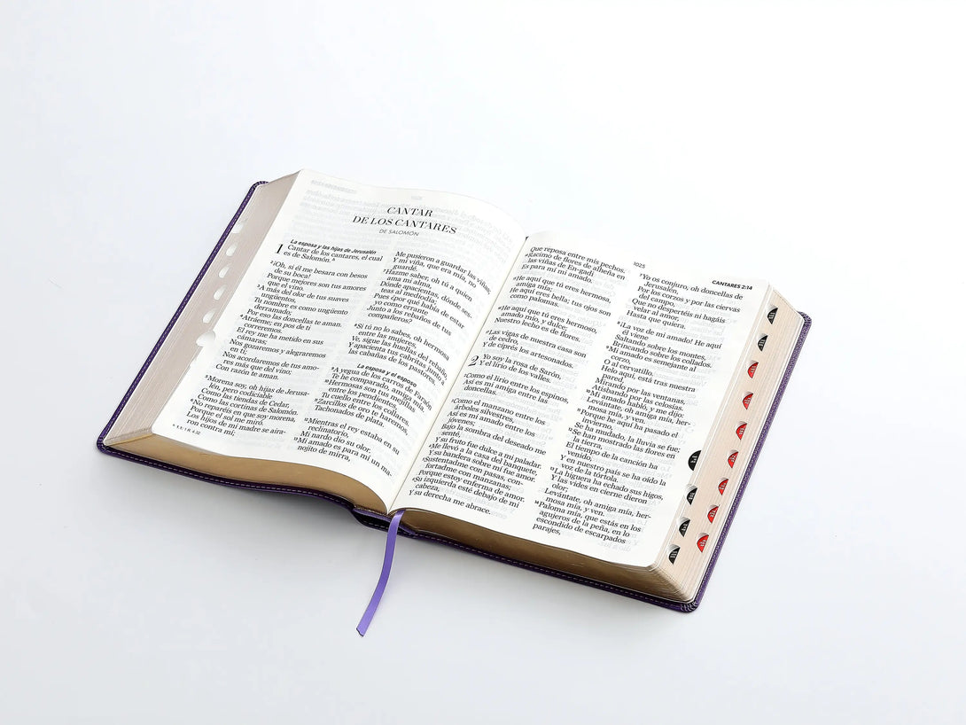 RVR60 095cti LSPG PJR clásica lila - Biblias