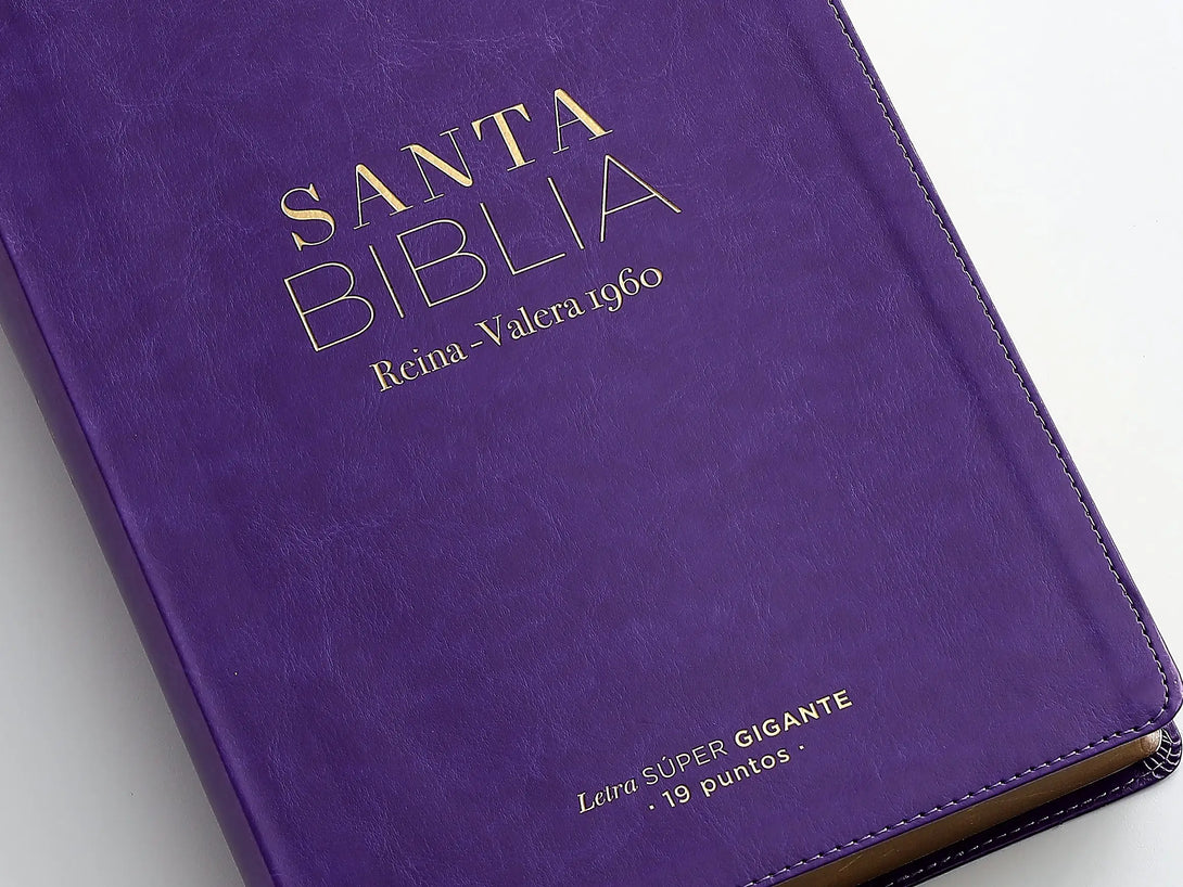 RVR60 095cti LSPG PJR clásica lila - Biblias