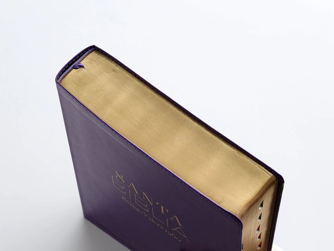 RVR60 095cti LSPG PJR clásica lila - Biblias