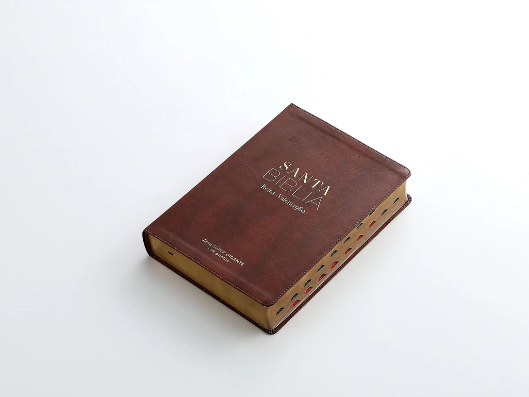 RVR60 095cti LSPG PJR clásica marrón - Biblias