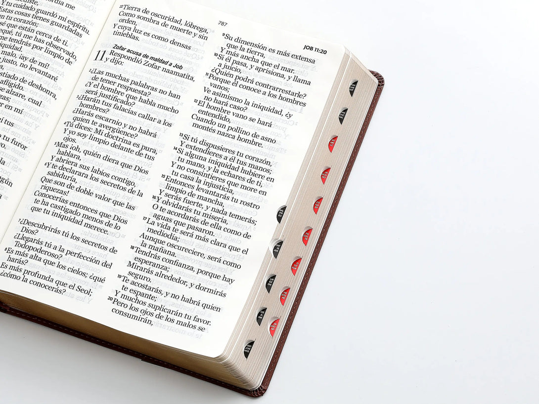 RVR60 095cti LSPG PJR clásica marrón - Biblias