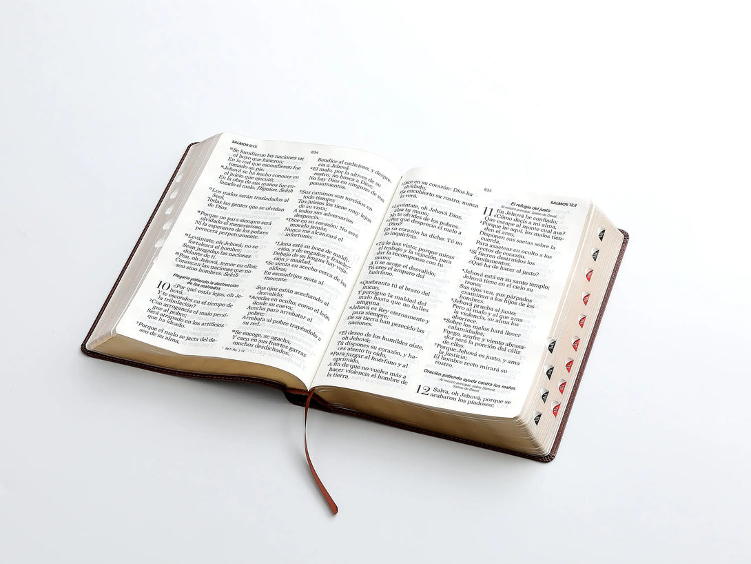 RVR60 095cti LSPG PJR clásica marrón - Biblias