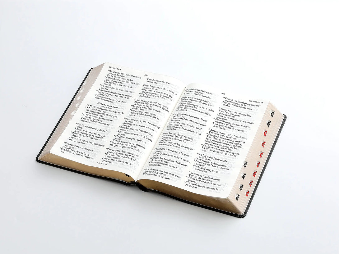 RVR60 095cti LSPG PJR clásica negro - Biblias