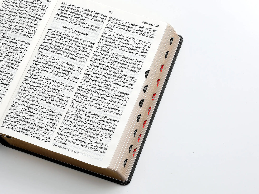 RVR60 095cti LSPG PJR clásica negro - Biblias