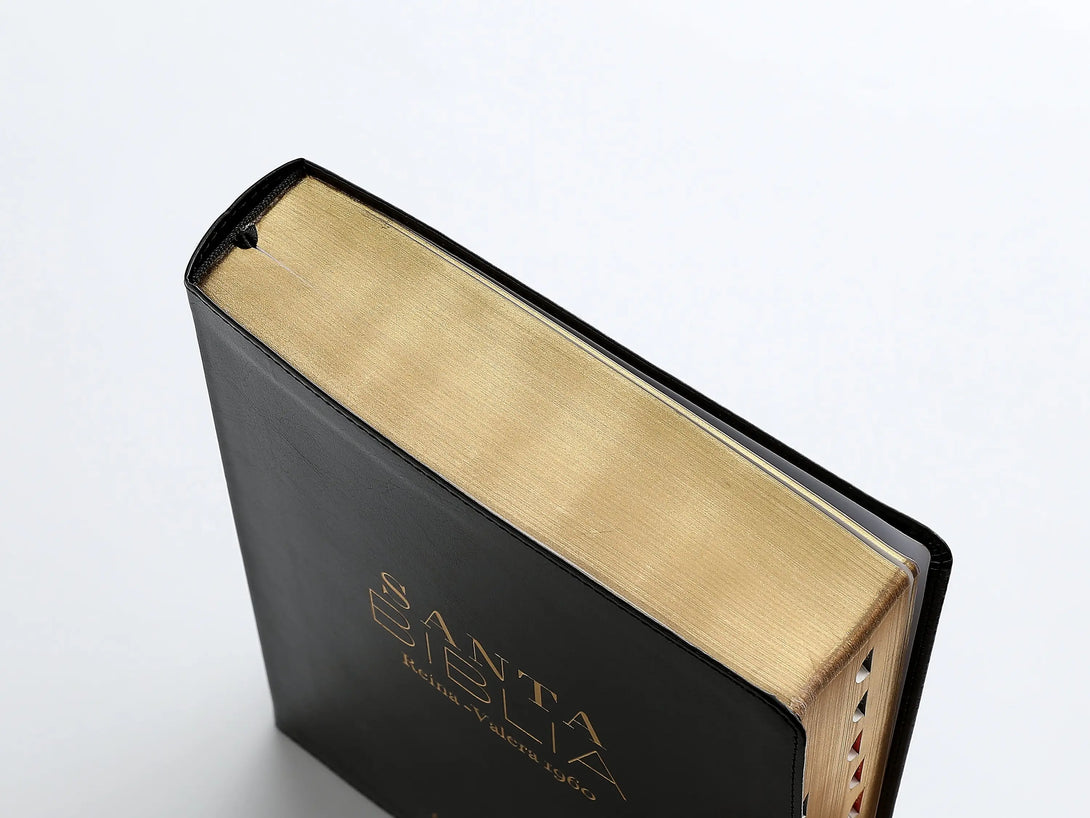 RVR60 095cti LSPG PJR clásica negro - Biblias