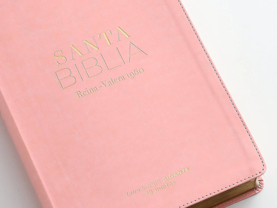 RVR60 095cti LSPG PJR clásica rosa - Biblias