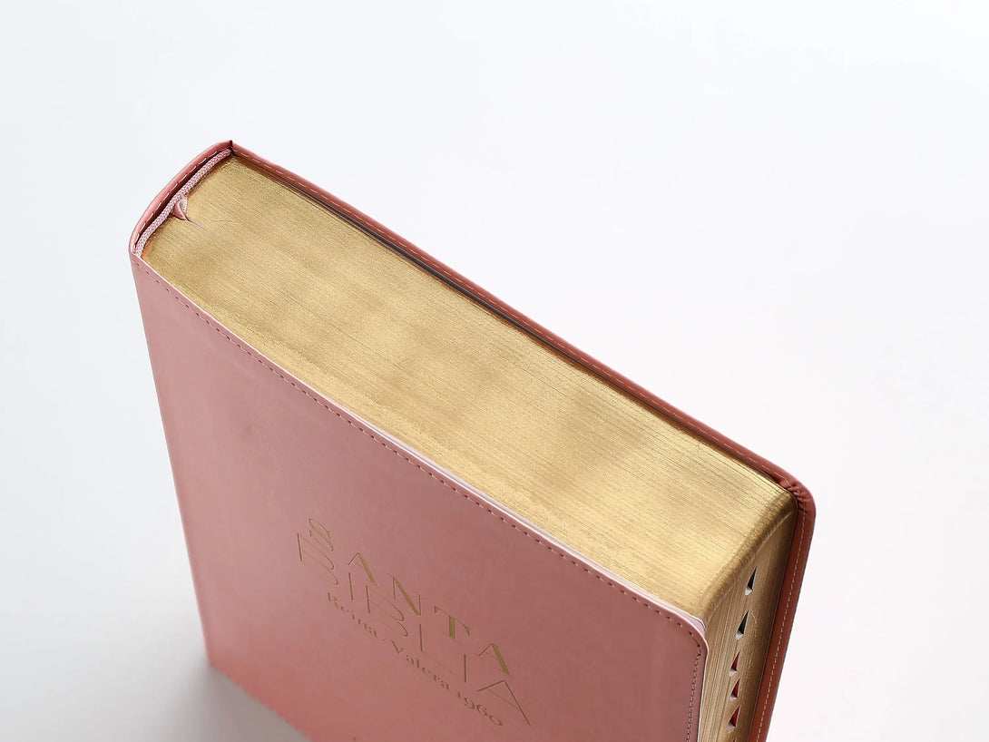 RVR60 095cti LSPG PJR clásica rosa - Biblias
