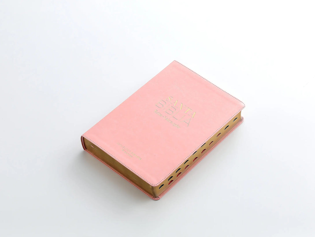RVR60 095cti LSPG PJR clásica rosa - Biblias