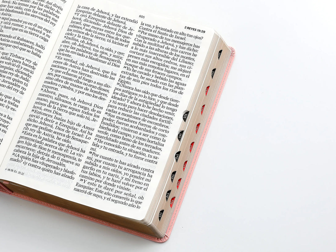 RVR60 095cti LSPG PJR clásica rosa - Biblias