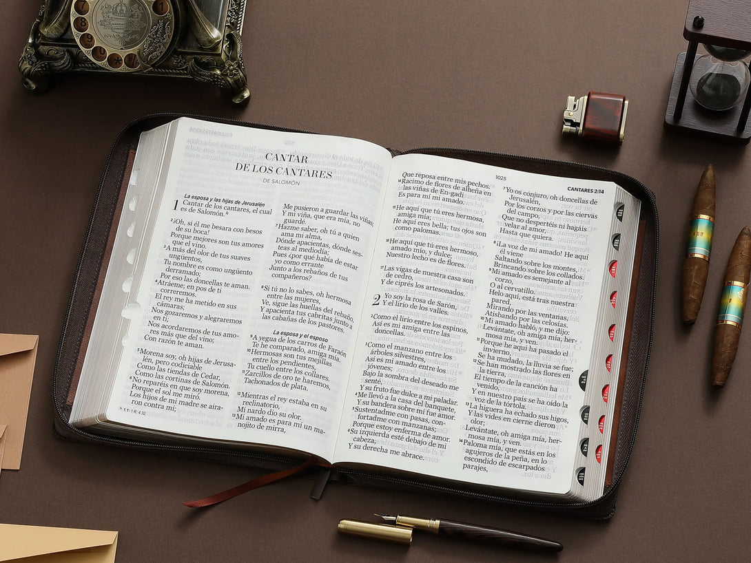 RVR60 095czti LSPG PJR Geométrico café/café - Biblias