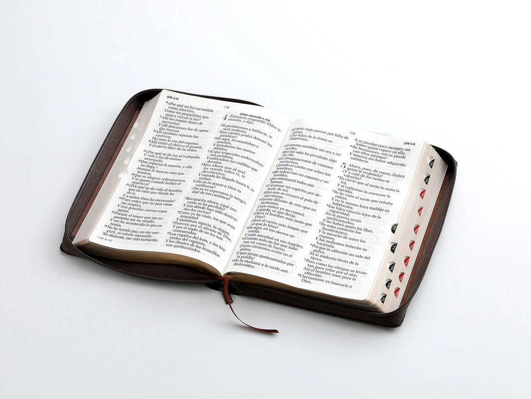 RVR60 095czti LSPG PJR Geométrico café/café - Biblias
