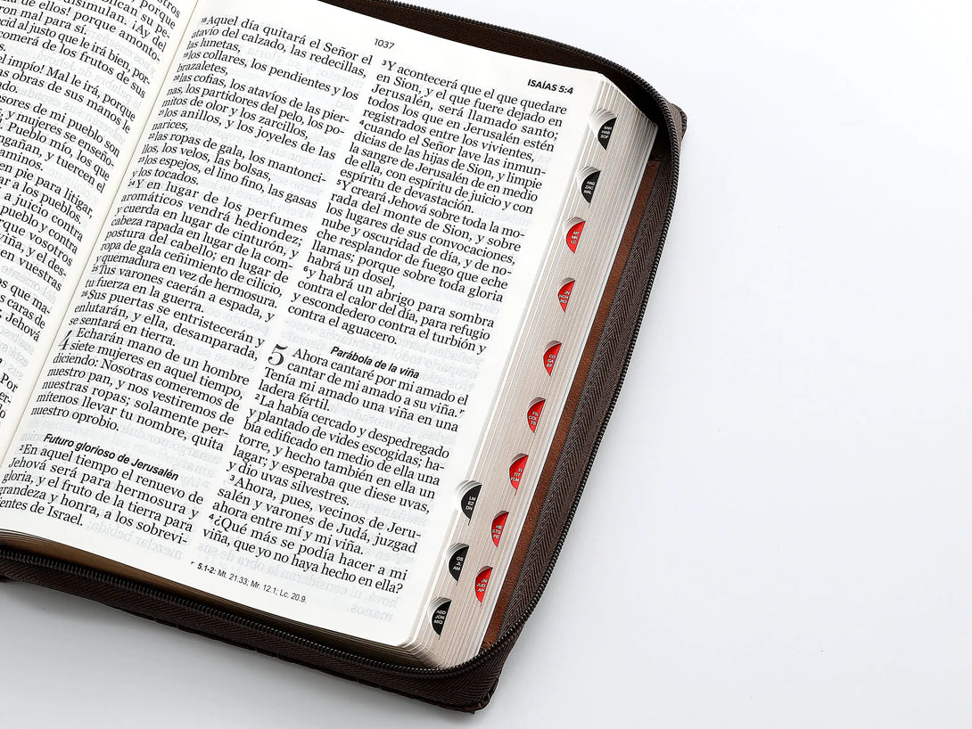 RVR60 095czti LSPG PJR Geométrico café/café - Biblias