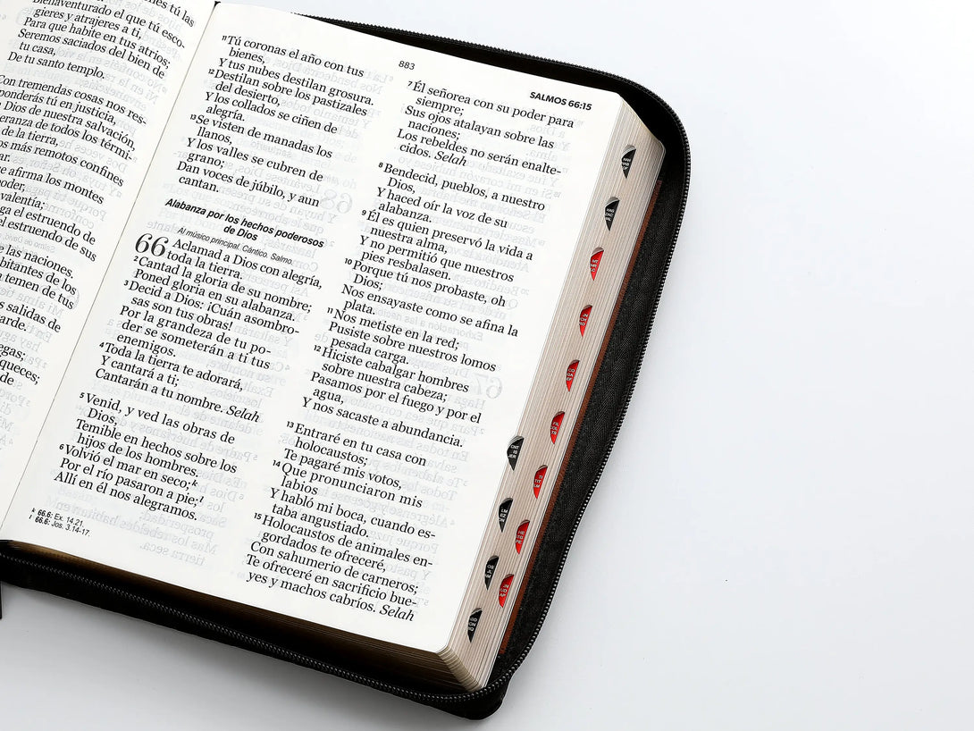 RVR60 095czti LSPG PJR Geométrico negro/café - Biblias