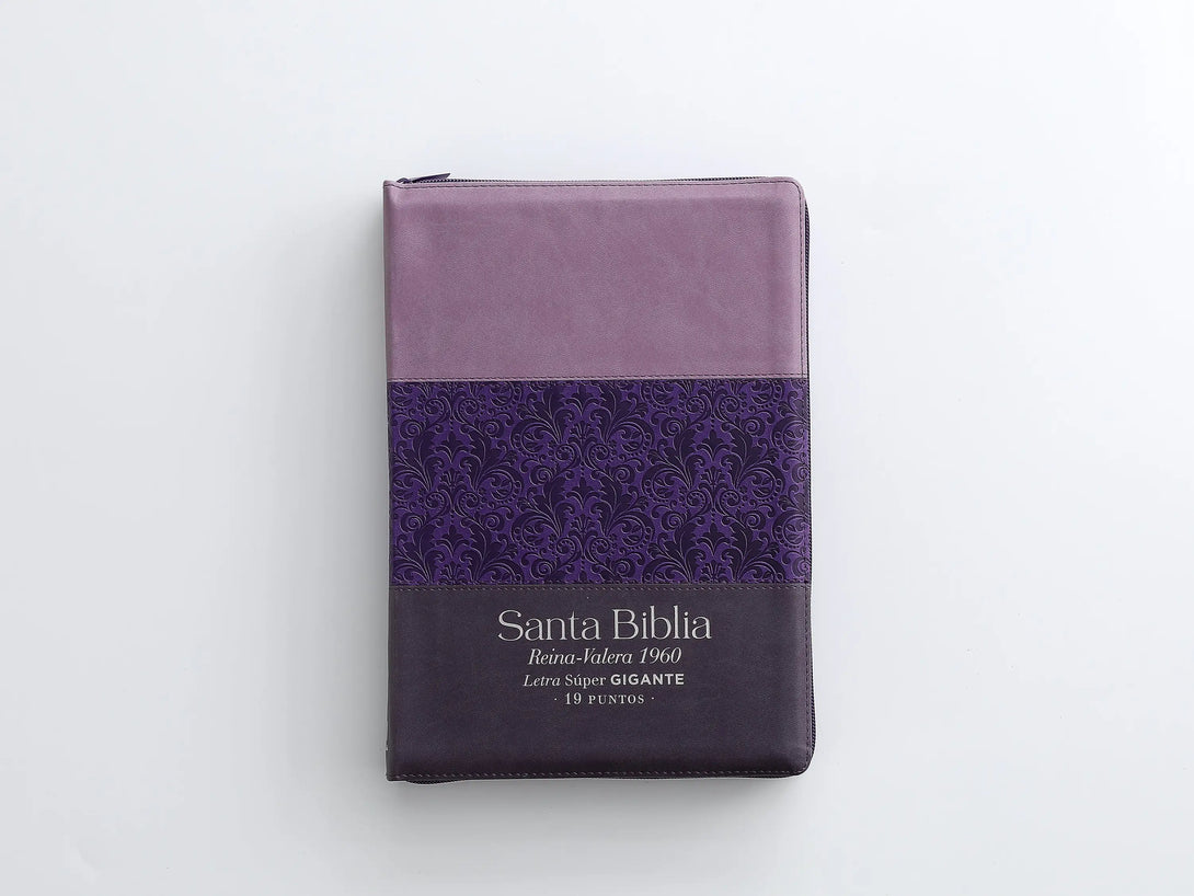 RVR60 095czti LSPG PJR Tricolor lila/morado/negro - Biblias