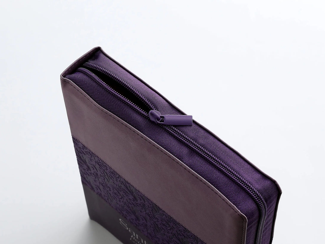 RVR60 095czti LSPG PJR Tricolor lila/morado/negro - Biblias