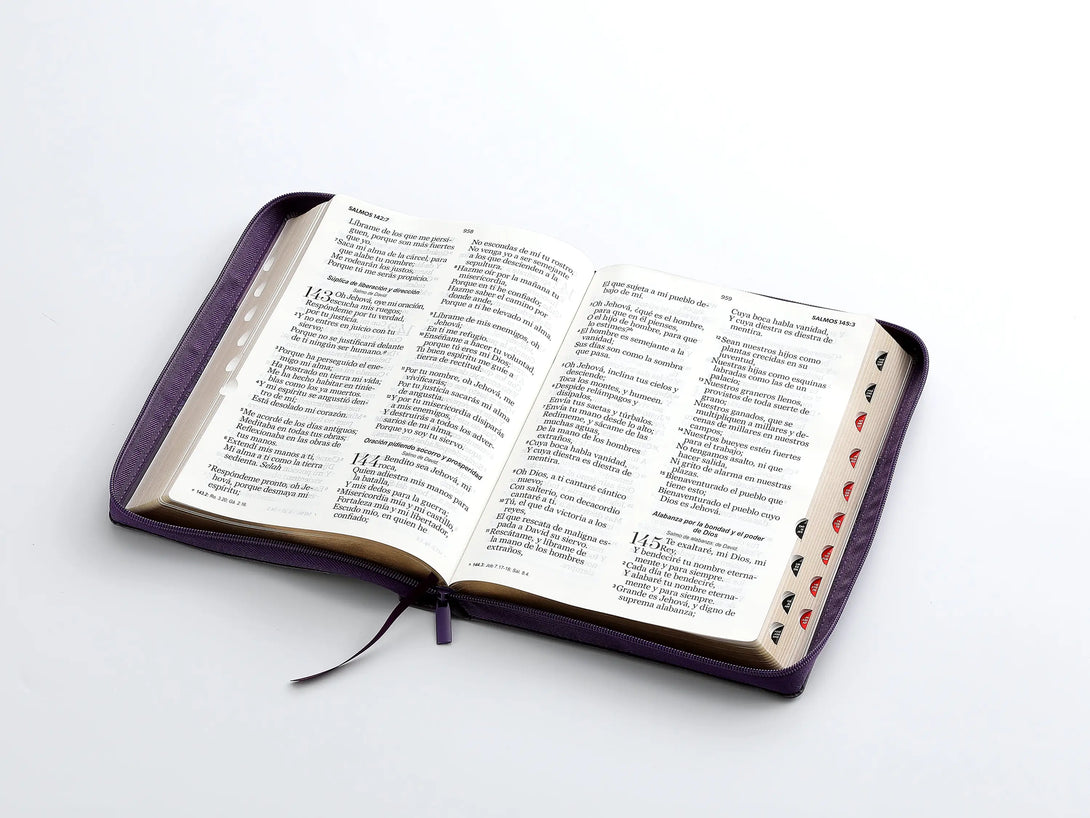 RVR60 095czti LSPG PJR Tricolor lila/morado/negro - Biblias