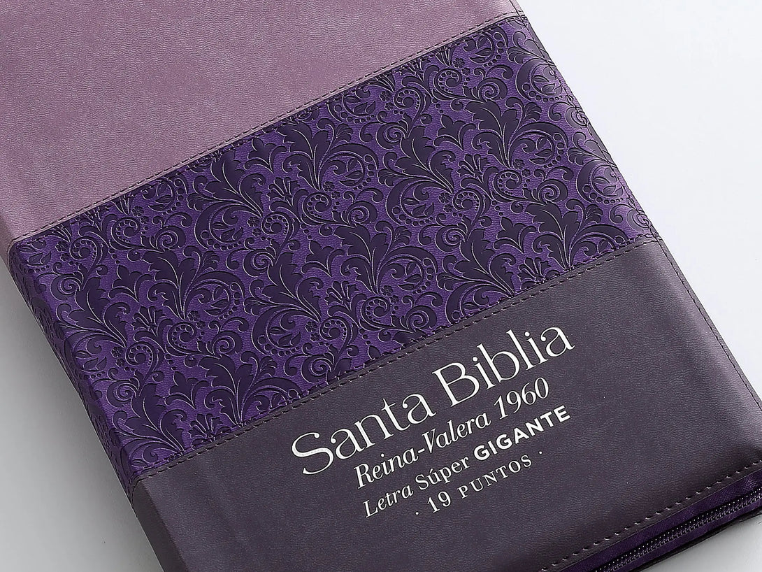 RVR60 095czti LSPG PJR Tricolor lila/morado/negro - Biblias
