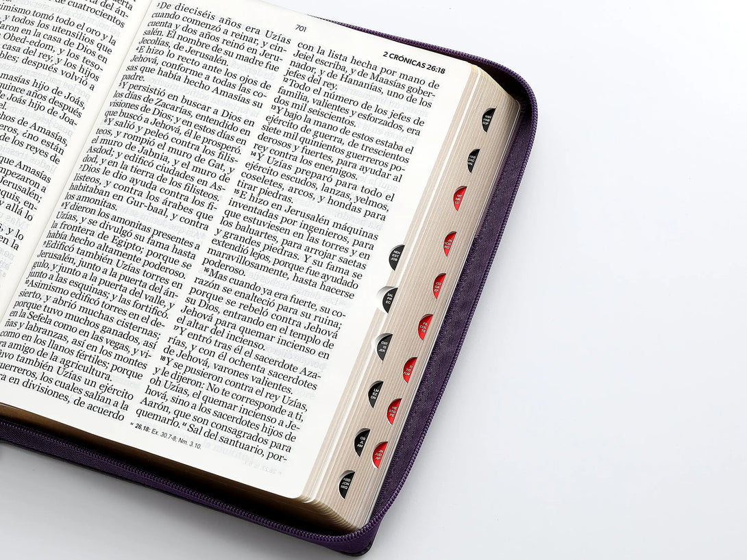 RVR60 095czti LSPG PJR Tricolor lila/morado/negro - Biblias