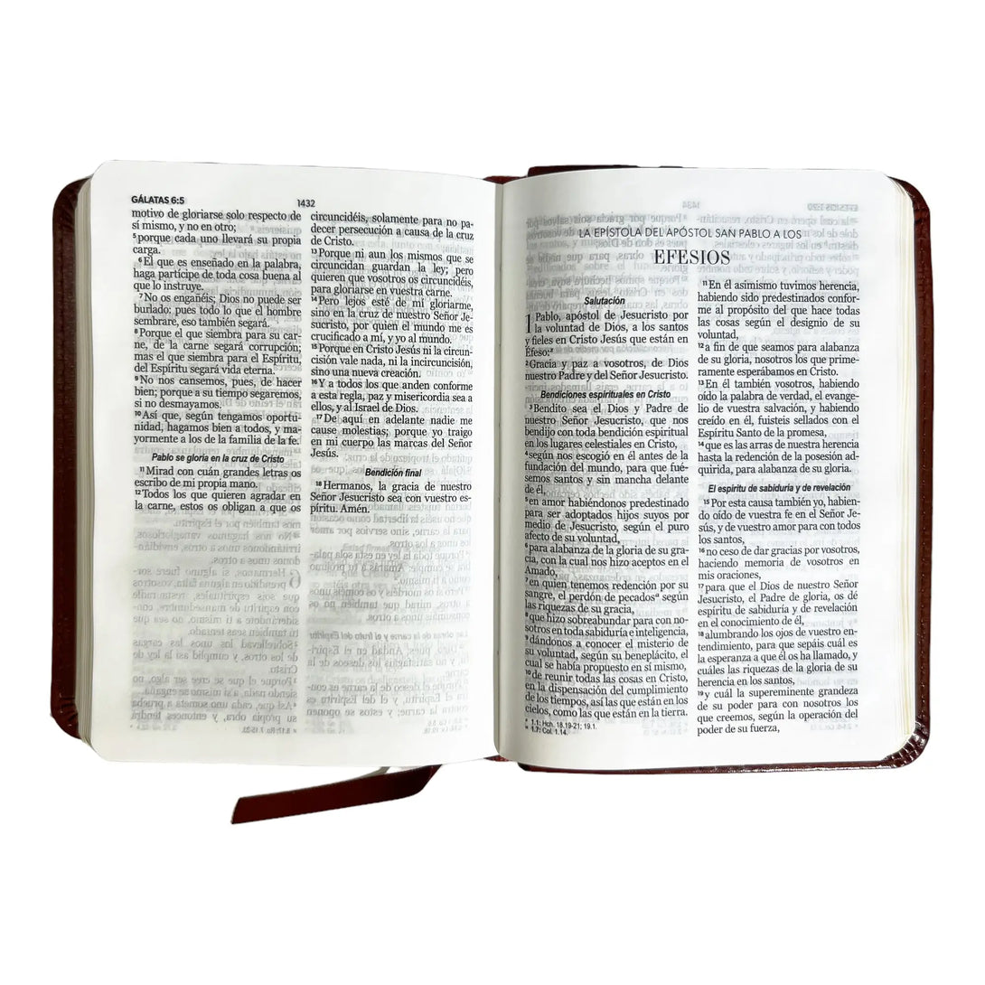 Biblia Reina Valera 1960 de bolsillo Imitación Piel café.