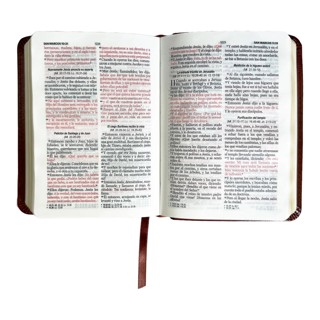 Biblia Reina Valera 1960 de bolsillo Imitación Piel café.