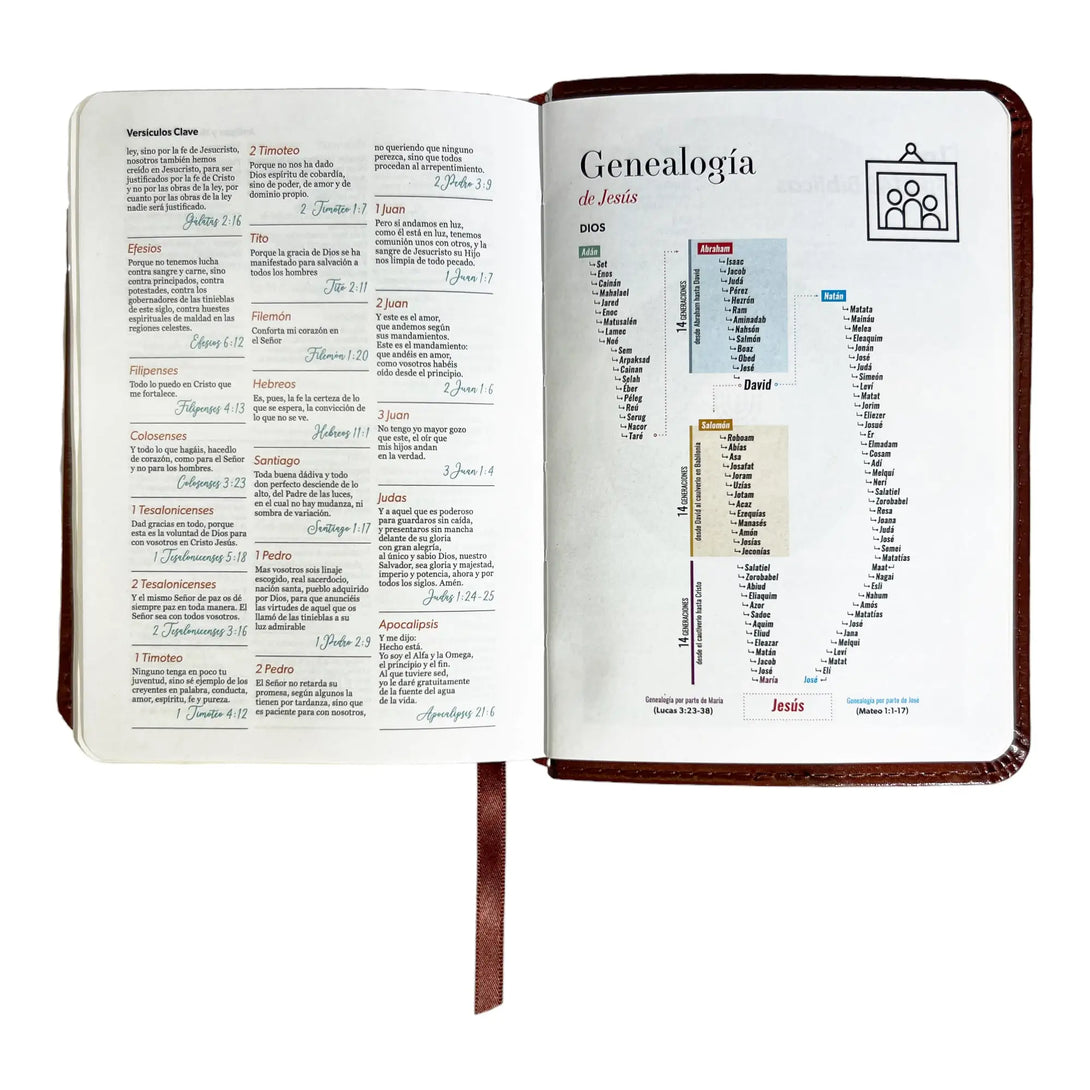 Biblia Reina Valera 1960 de bolsillo Imitación Piel café.