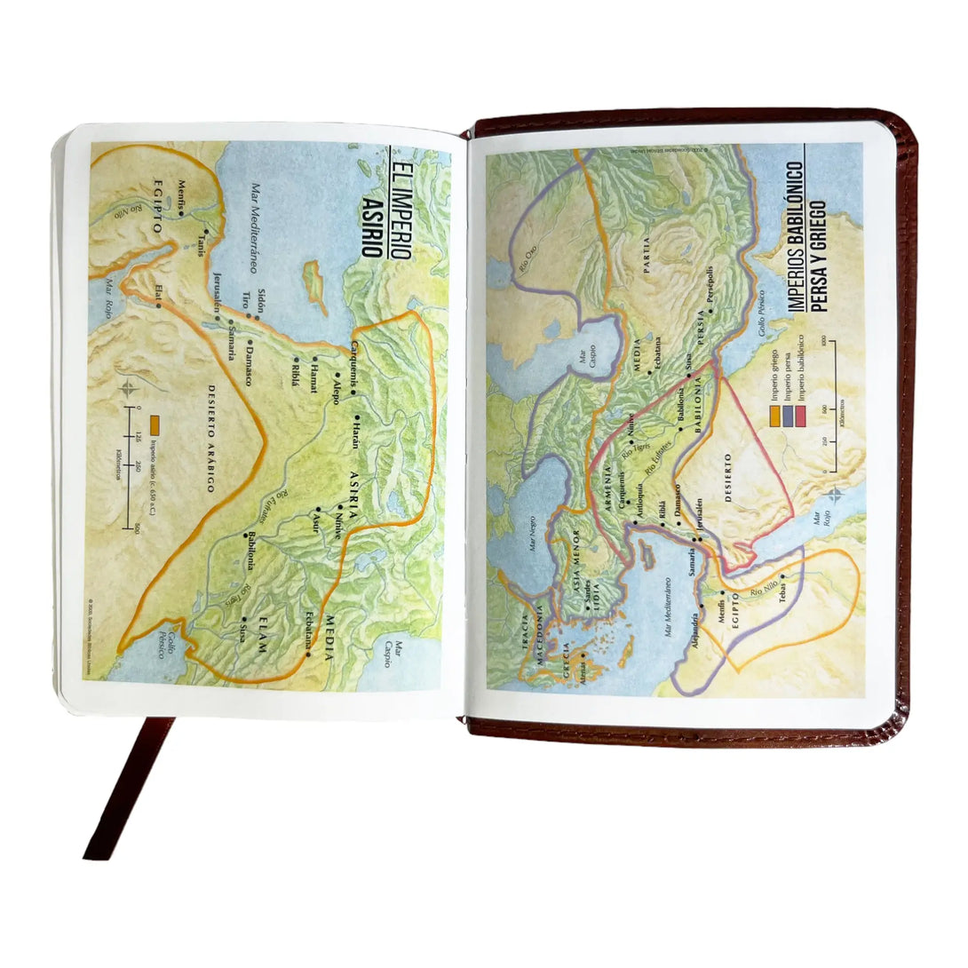 Biblia Reina Valera 1960 de bolsillo Imitación Piel café.
