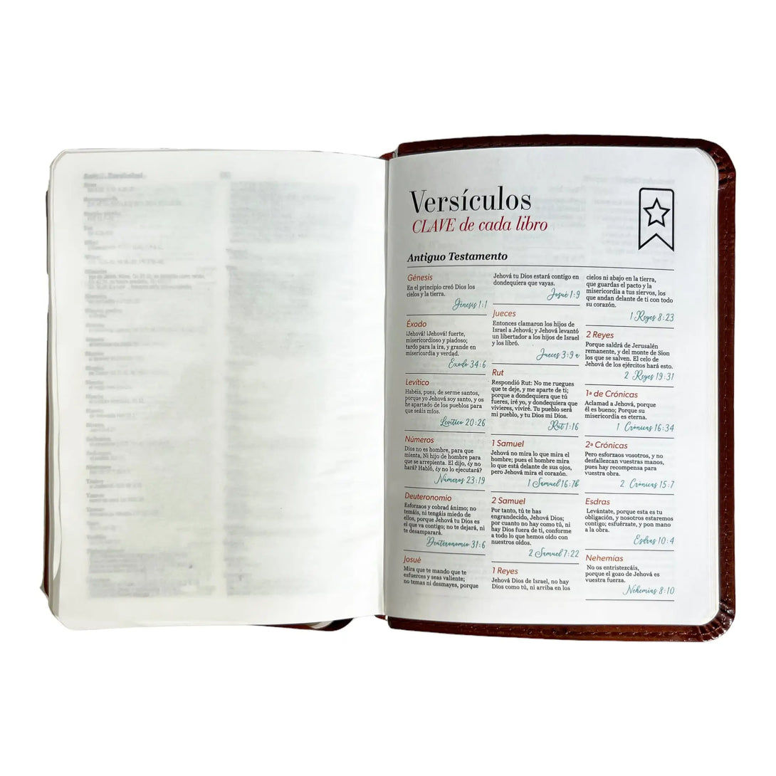 Biblia Reina Valera 1960 de bolsillo Imitación Piel café.