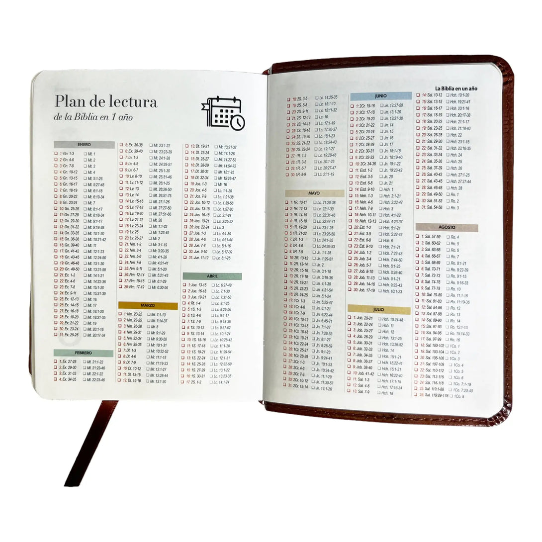 Biblia Reina Valera 1960 de bolsillo Imitación Piel café.