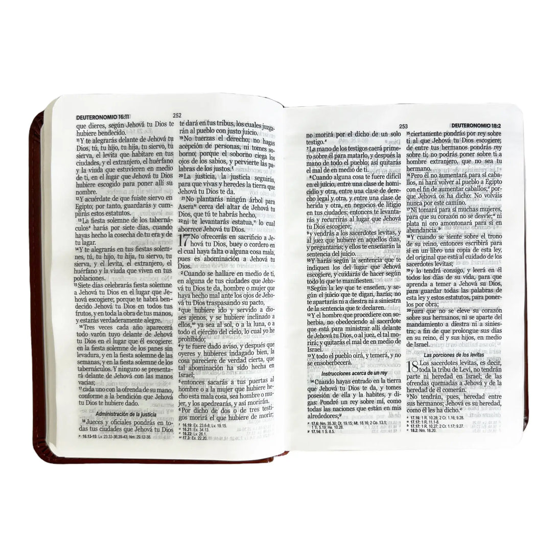 Biblia Reina Valera 1960 de bolsillo Imitación Piel café.