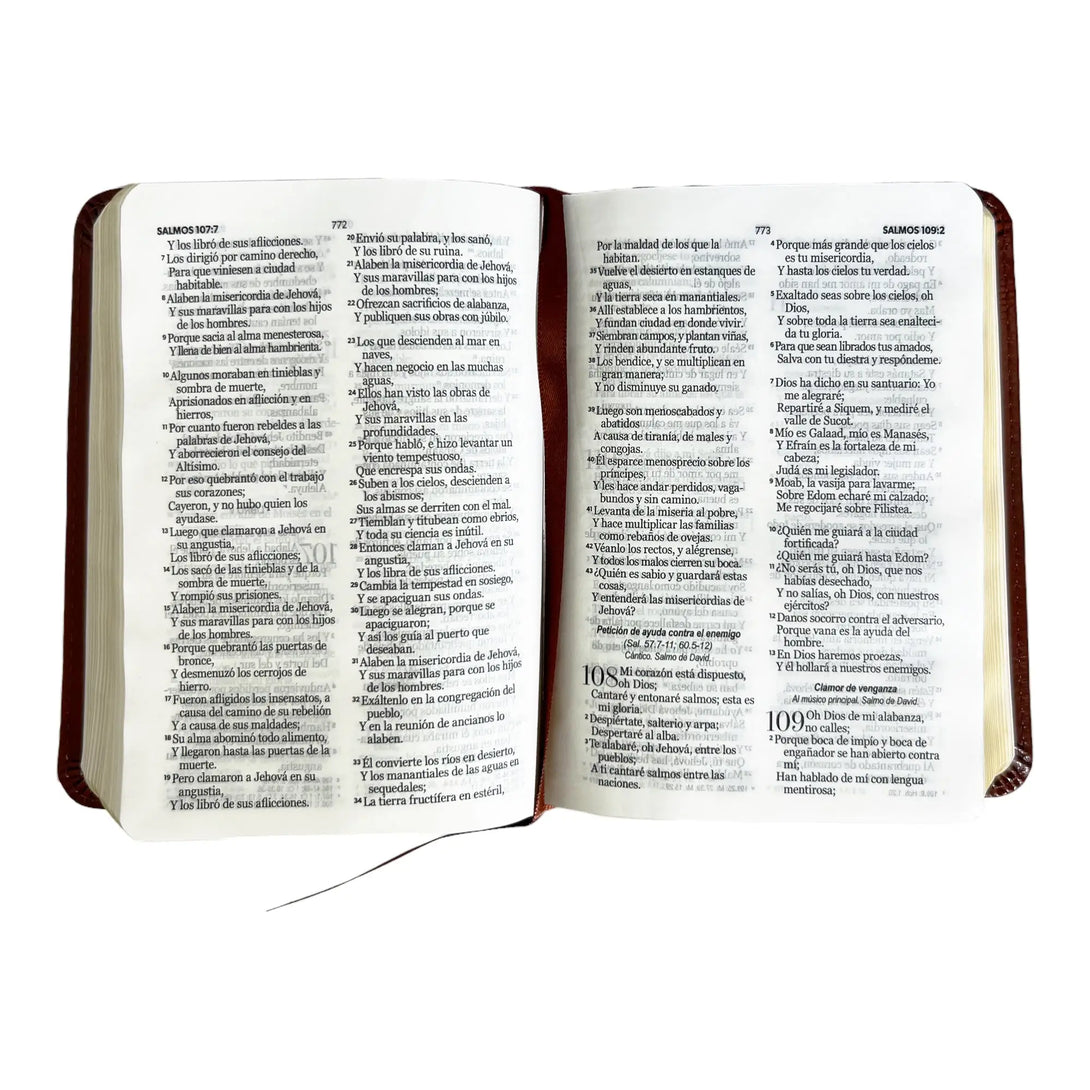Biblia Reina Valera 1960 de bolsillo Imitación Piel café.