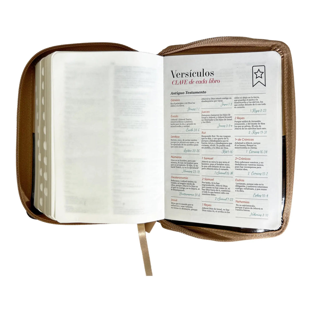 Biblia Reina Valera 1960 de bolsillo Imitación piel Café
