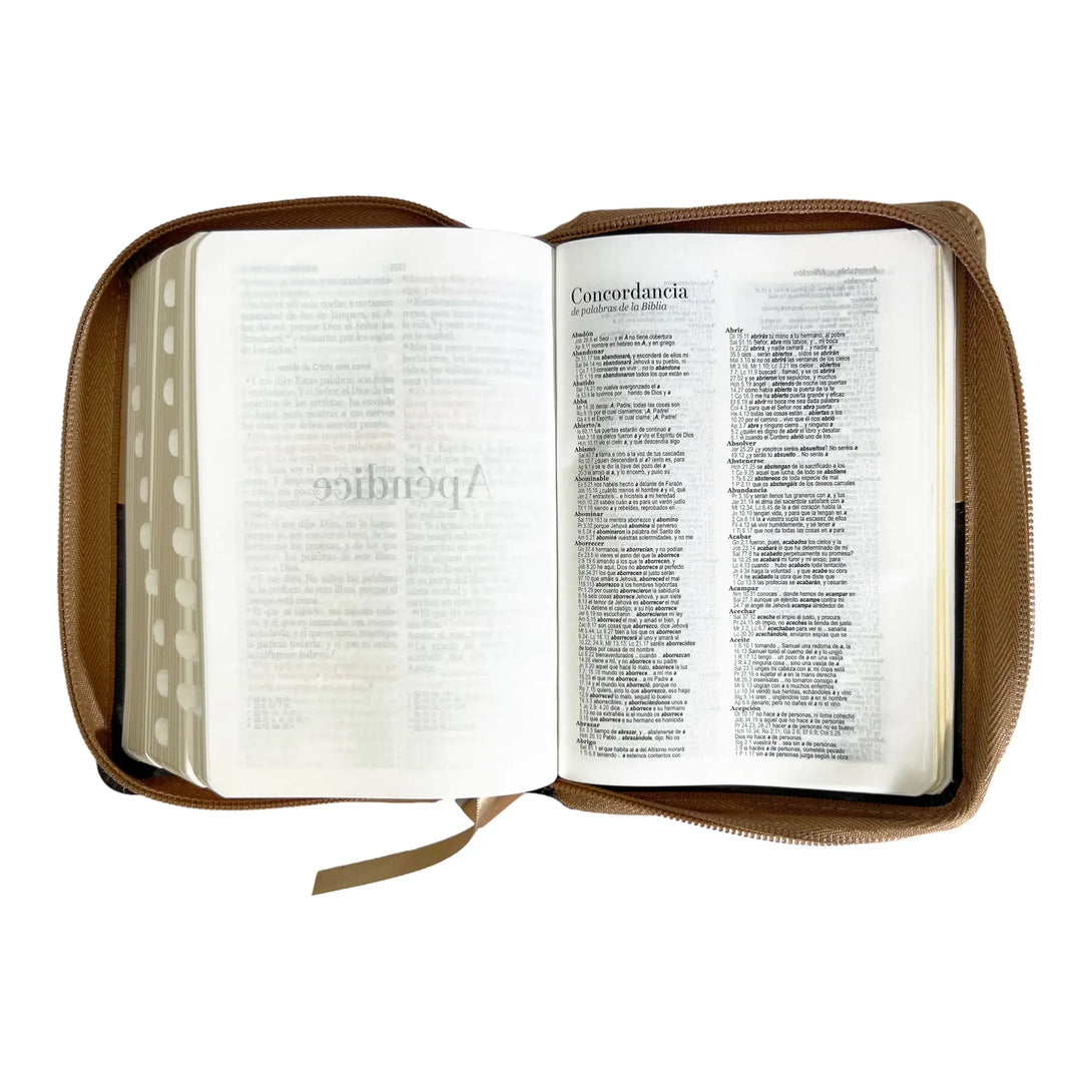 Biblia Reina Valera 1960 de bolsillo Imitación piel Café