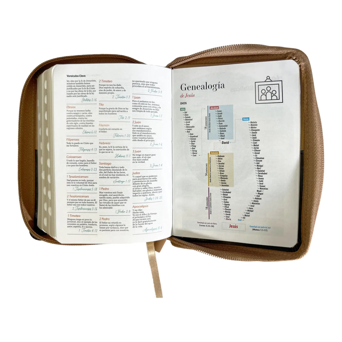 Biblia Reina Valera 1960 de bolsillo Imitación piel Café