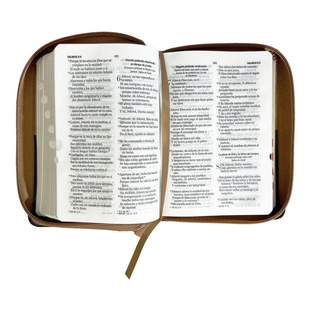 Biblia Reina Valera 1960 de bolsillo Imitación piel Café