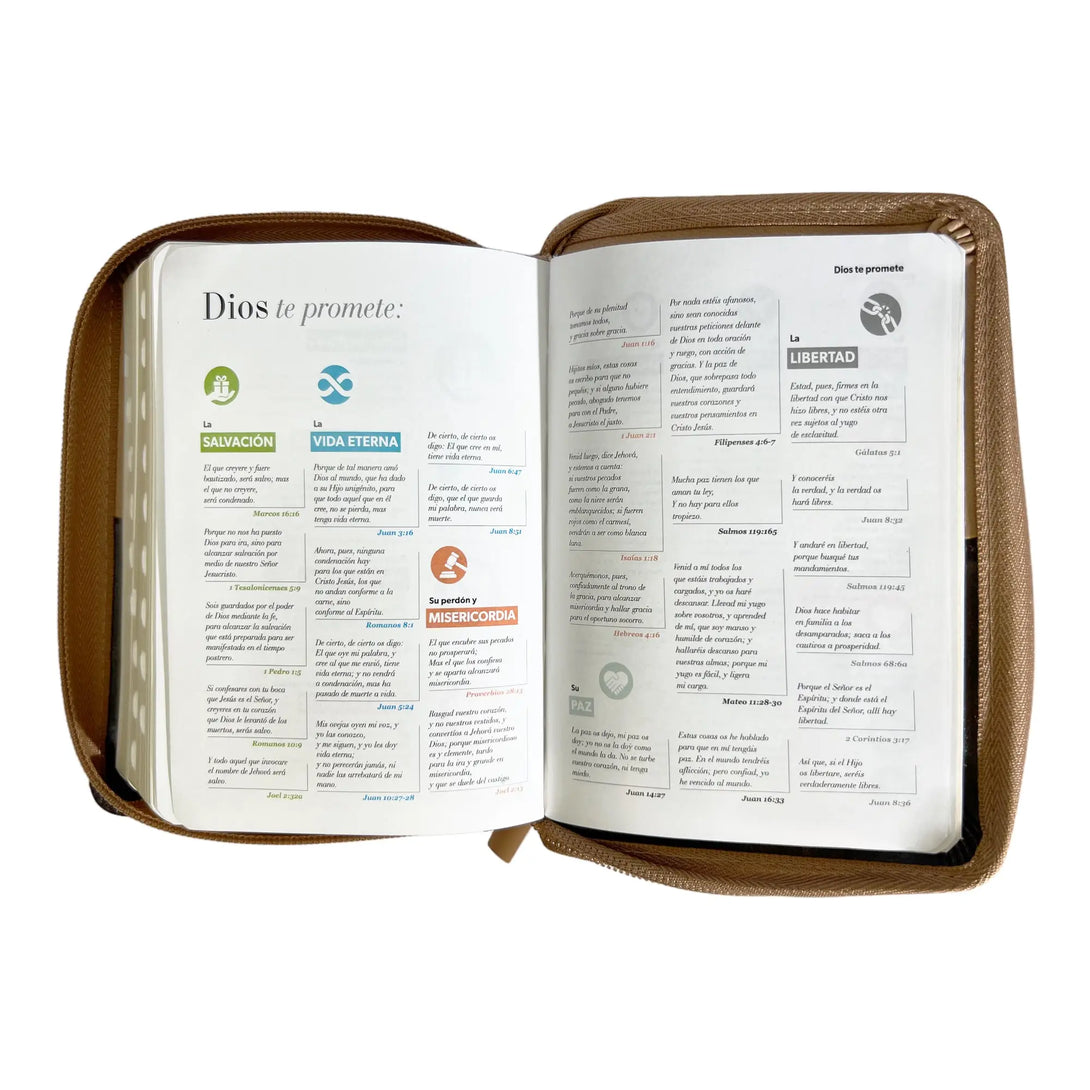 Biblia Reina Valera 1960 de bolsillo Imitación piel Café