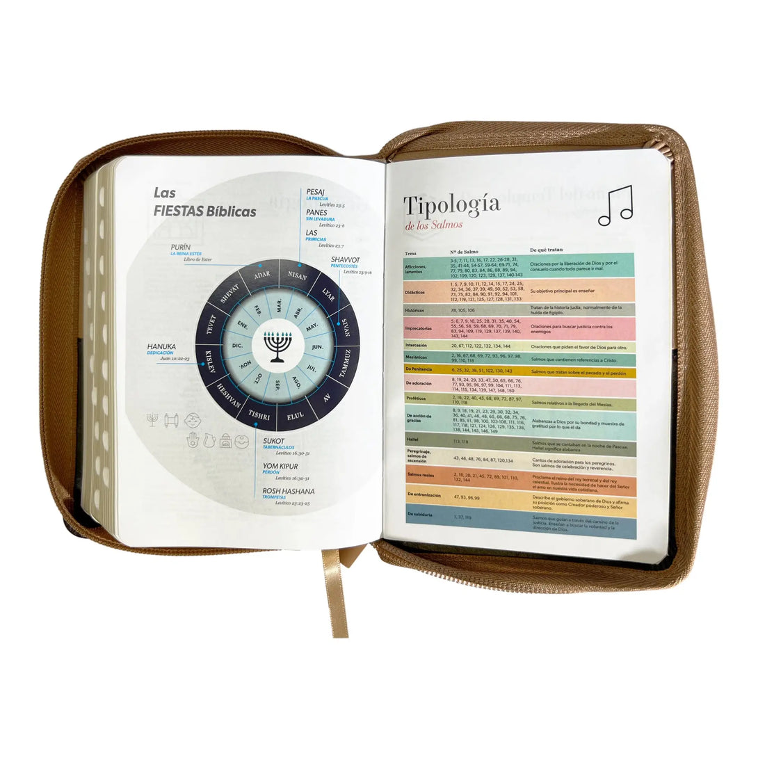 Biblia Reina Valera 1960 de bolsillo Imitación piel Café