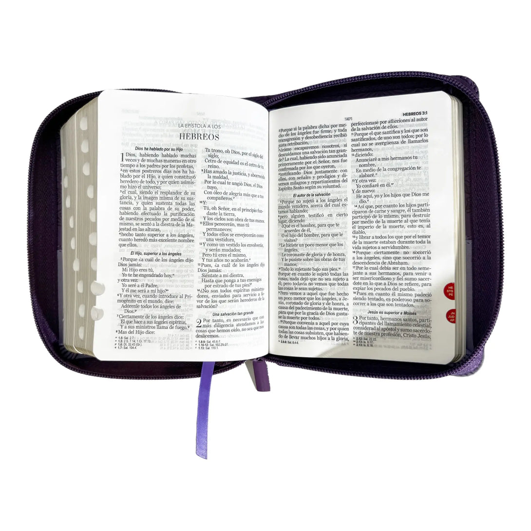 Biblia Reina Valera 1960 de bolsillo Imitación Piel