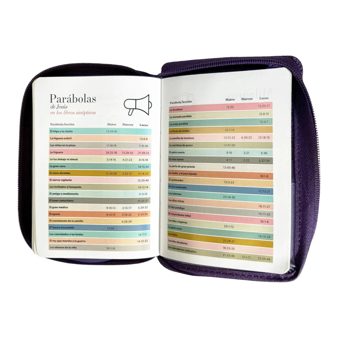 Biblia Reina Valera 1960 de bolsillo Imitación Piel