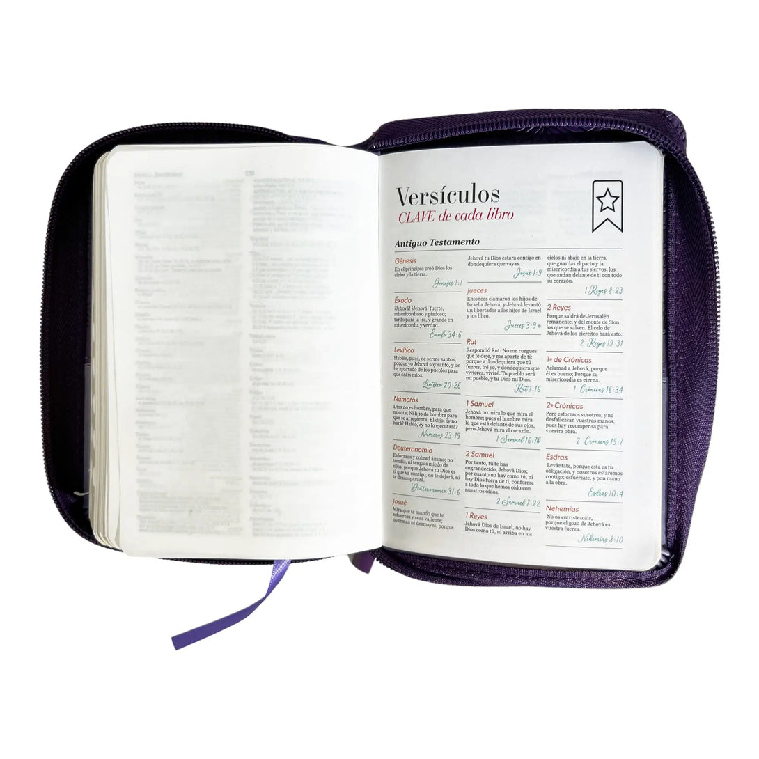 Biblia Reina Valera 1960 de bolsillo Imitación Piel