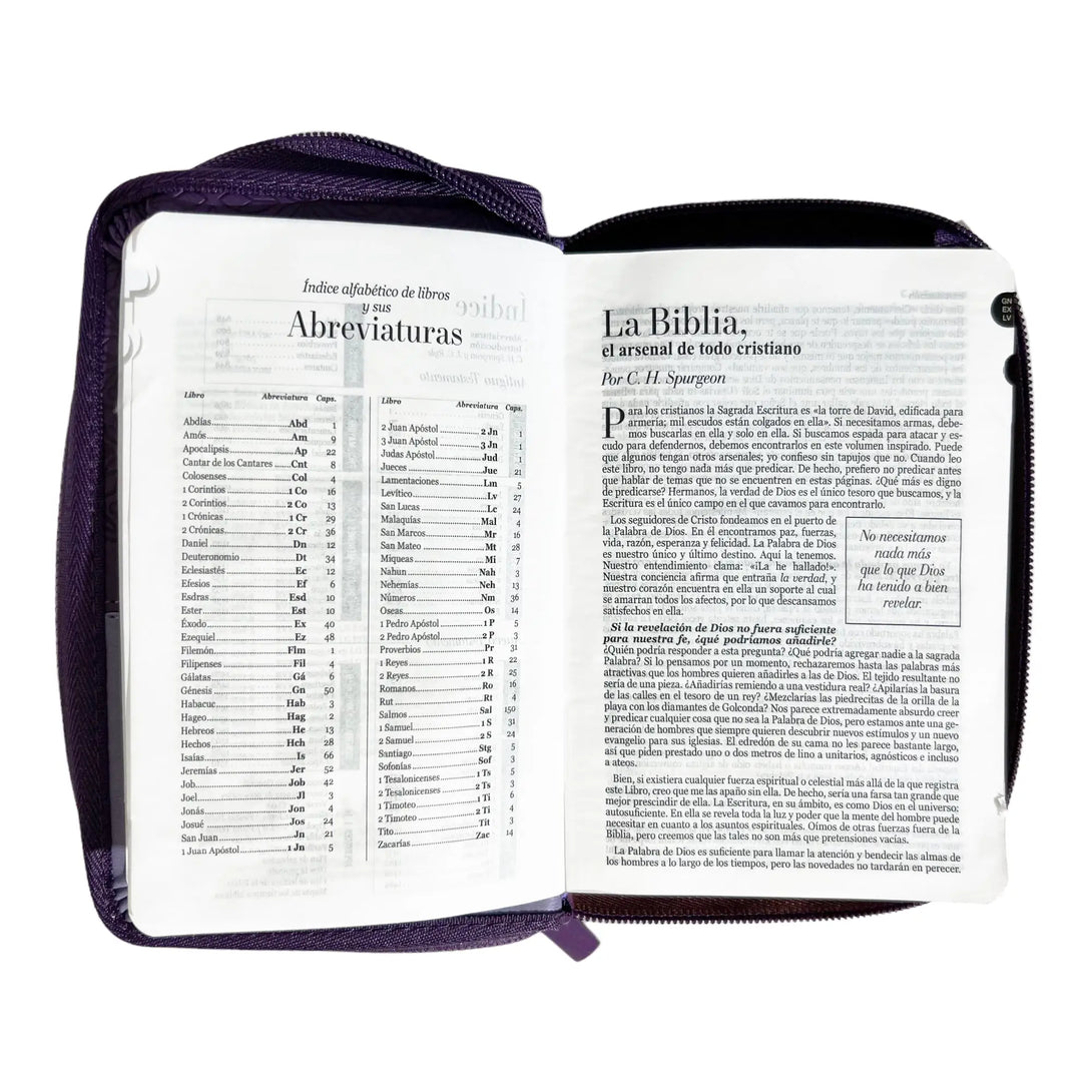 Biblia Reina Valera 1960 de bolsillo Imitación Piel