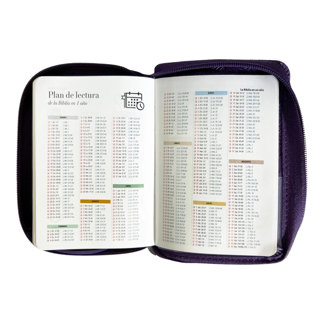 Biblia Reina Valera 1960 de bolsillo Imitación Piel